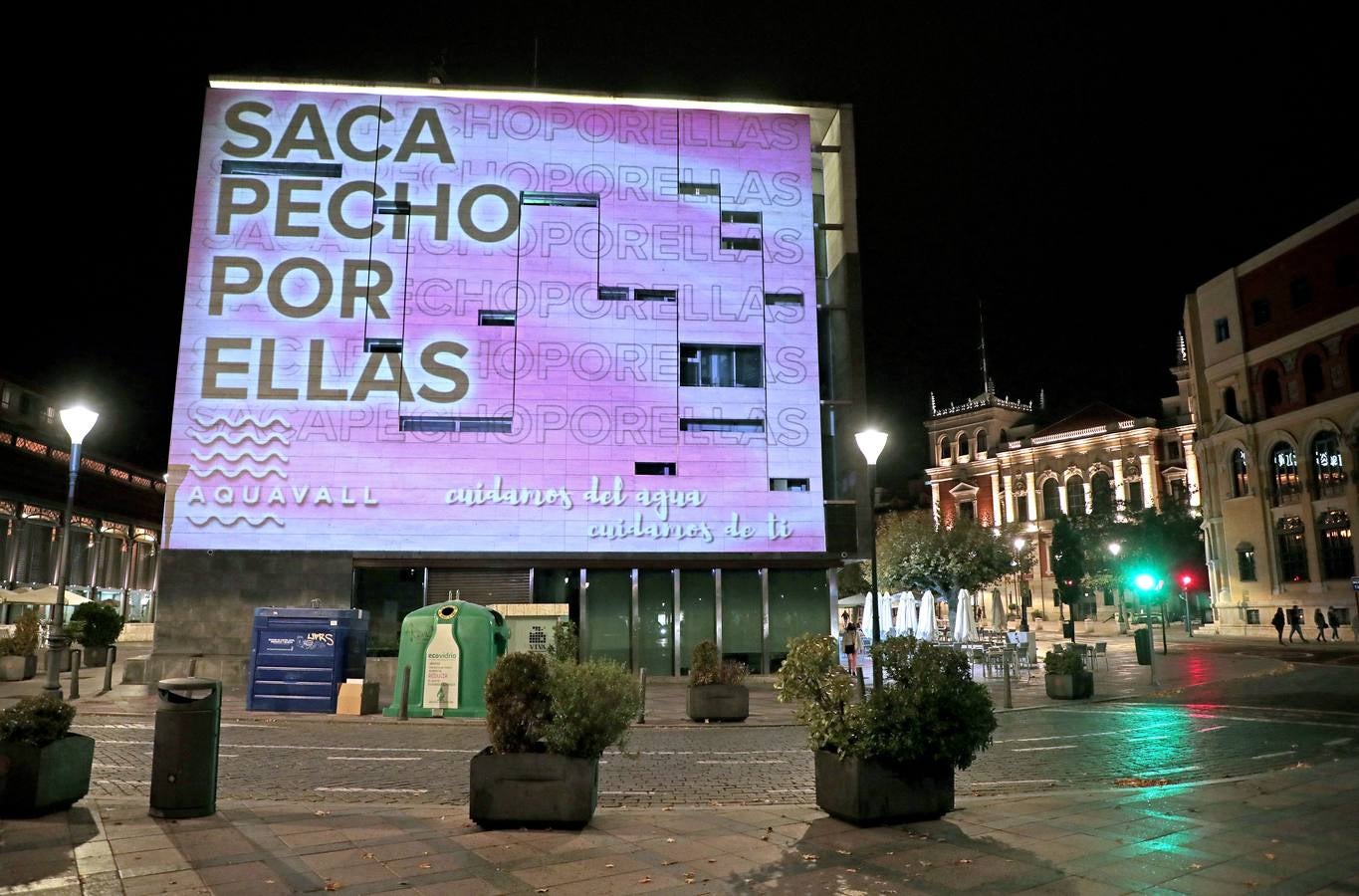Fotos: Valladolid se viste de rosa