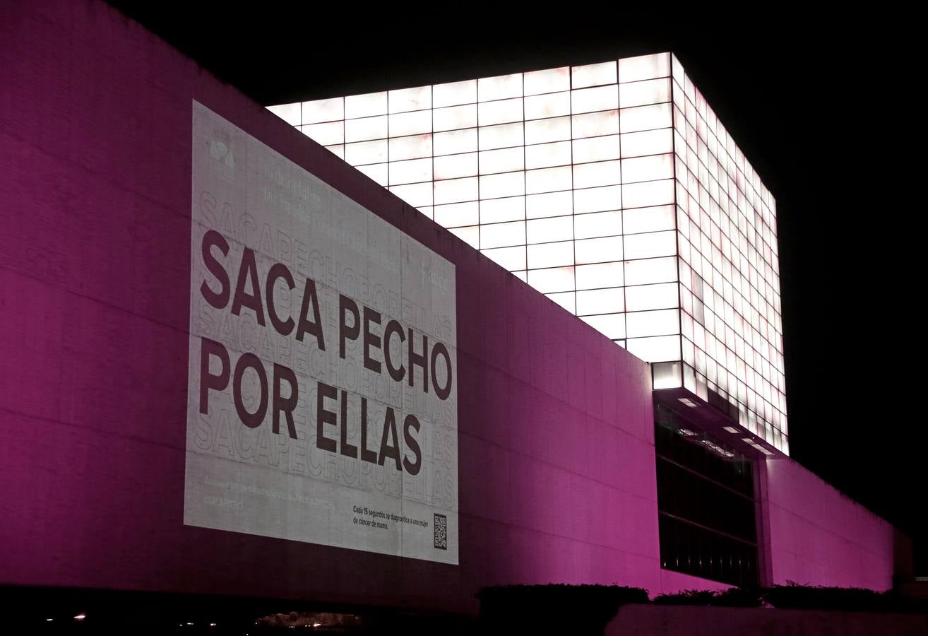 Fotos: Valladolid se viste de rosa
