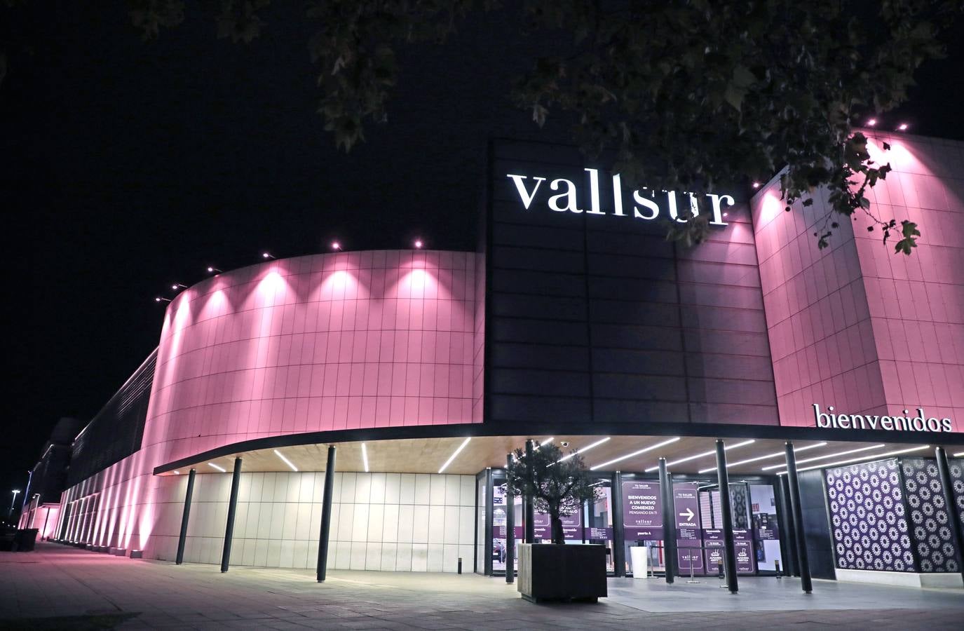 Fotos: Valladolid se viste de rosa