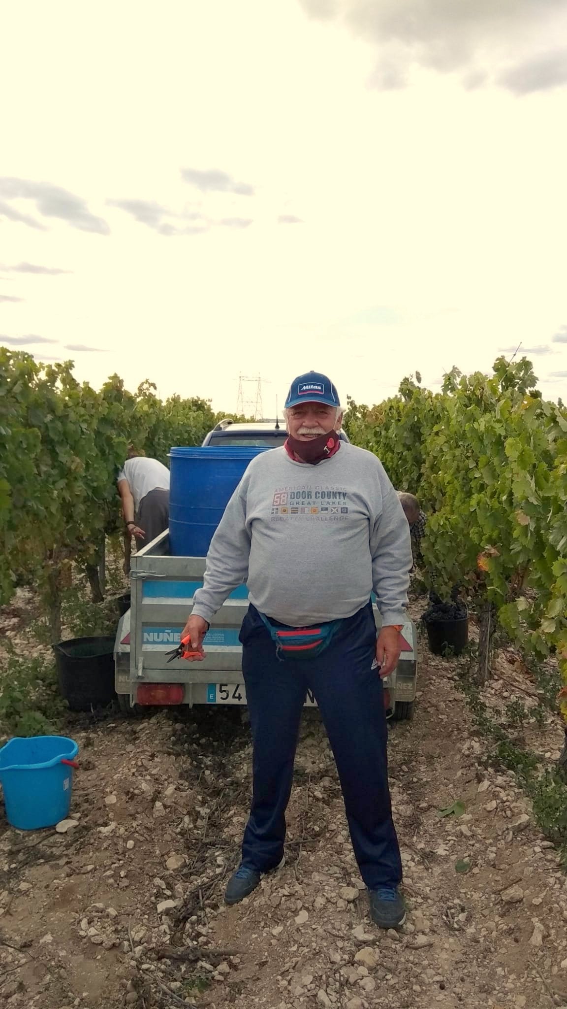 Varios miembros de la Asociación durante la vendimia