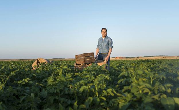 Javier Meléndez, propietario de Patatas Meléndez, durante el periodo de recogida de la cosecha.