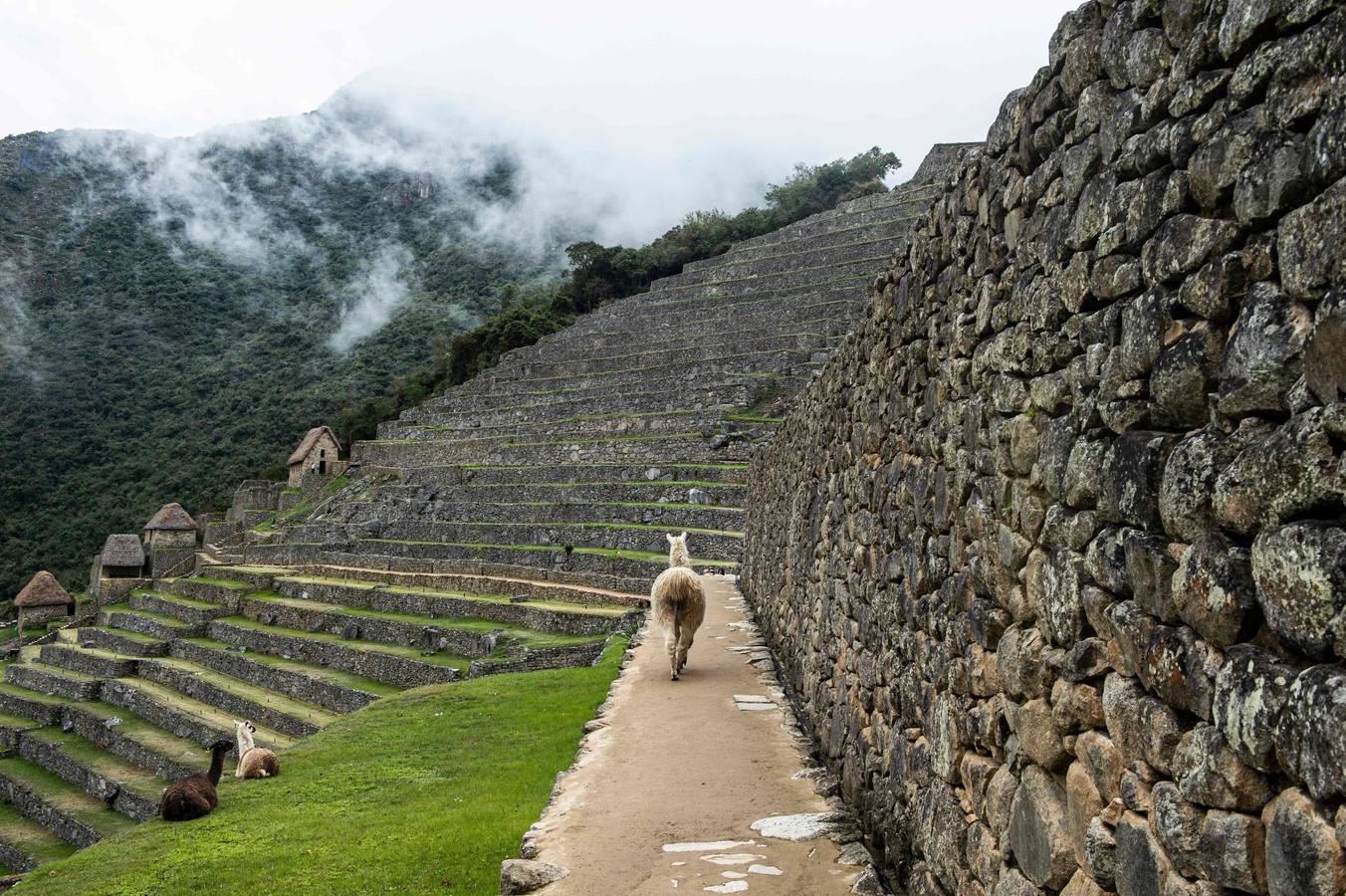 Fotos: La deslumbrante reapertura de Machu Picchu