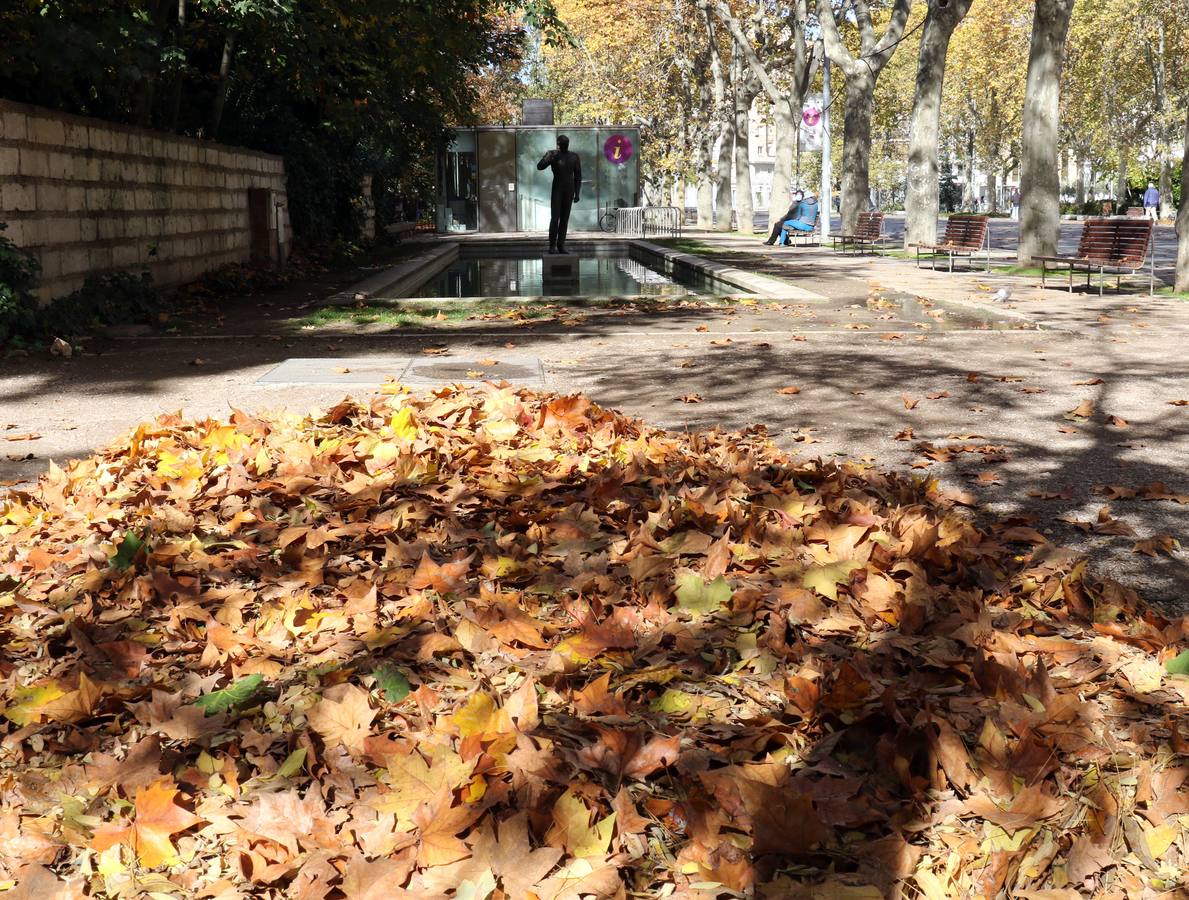 Fotos: Otoño en Valladolid