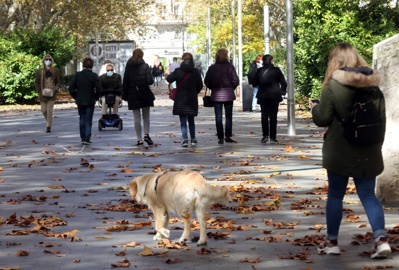 Fotos: Otoño en Valladolid