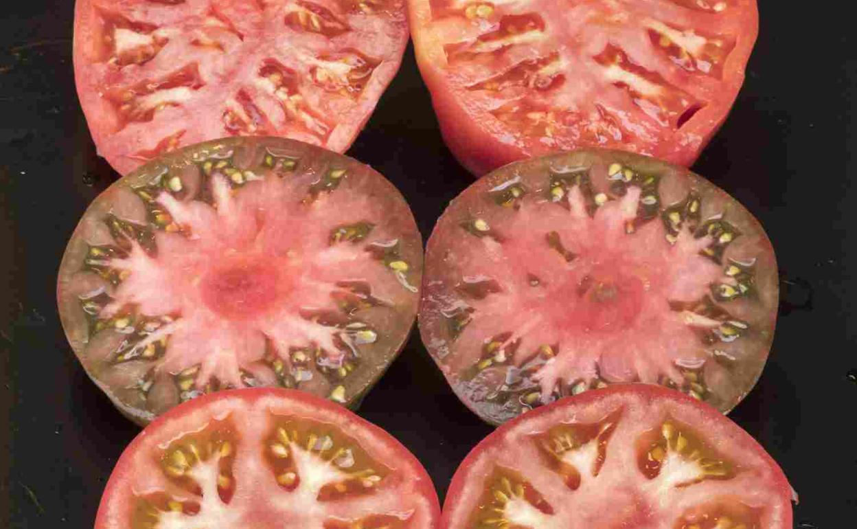 Concentrado de vitaminas y minerales