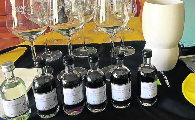 Muestras de los vinos experimentales elaborados con variedades locales recuperadas por el Itacyl. 