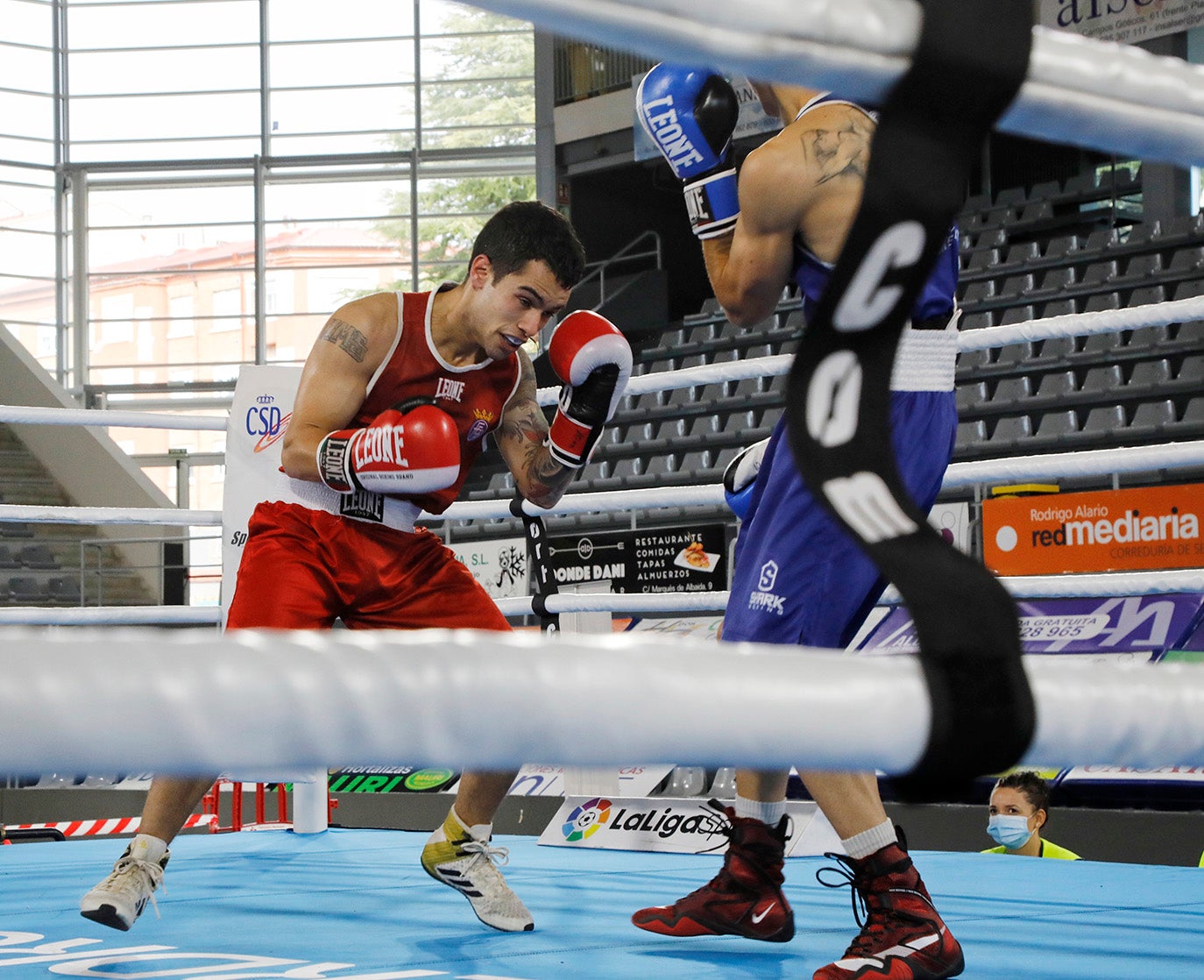 Palencia disfruta del boxeo olímpico.