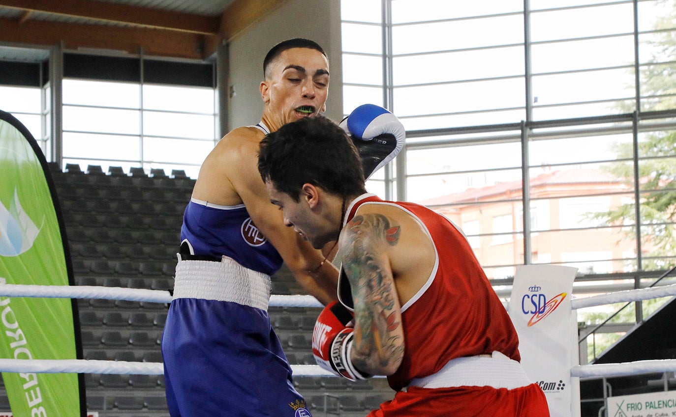 Palencia disfruta del boxeo olímpico.