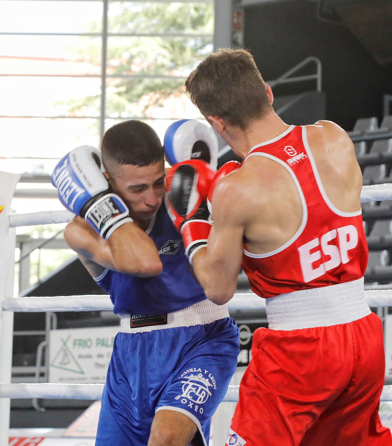 Palencia disfruta del boxeo olímpico.