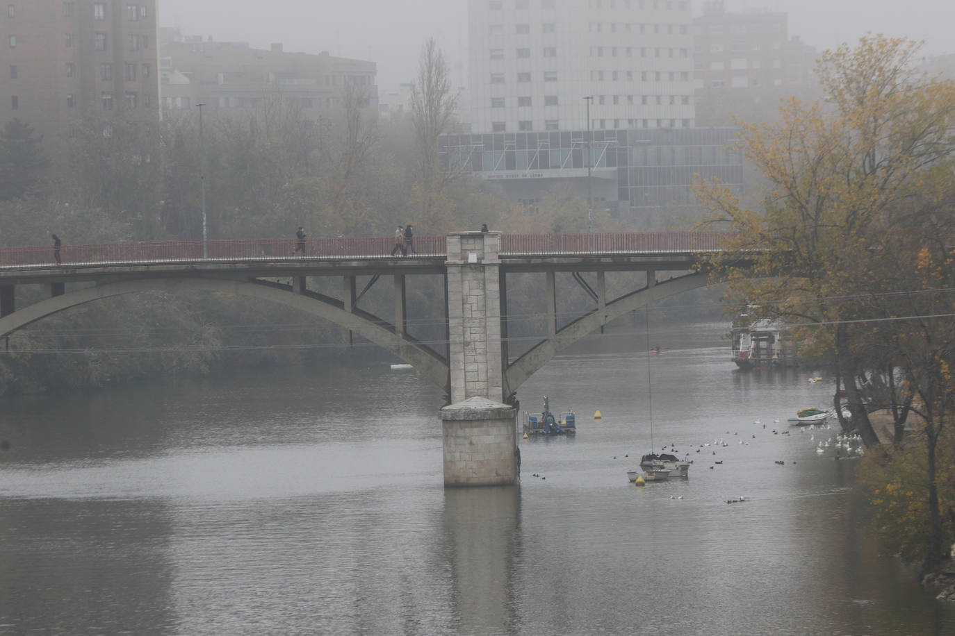 Fotos: Jornada de niebla en Valladolid