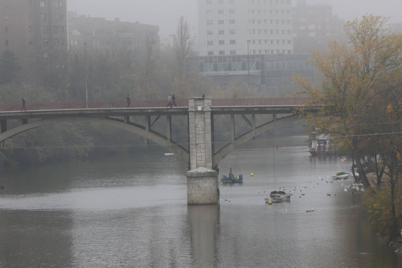 Fotos: Jornada de niebla en Valladolid