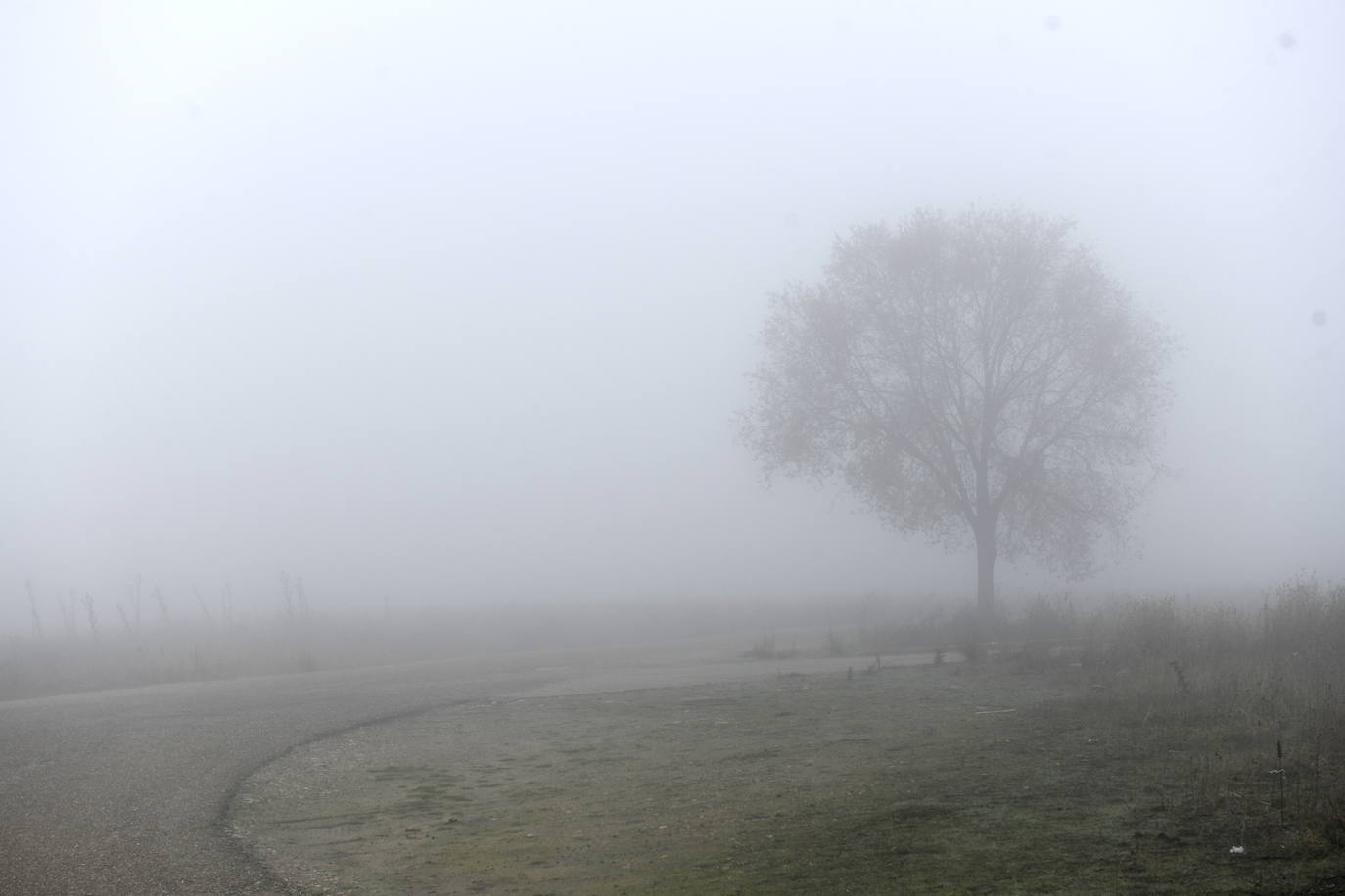 Fotos: Jornada de niebla en Valladolid