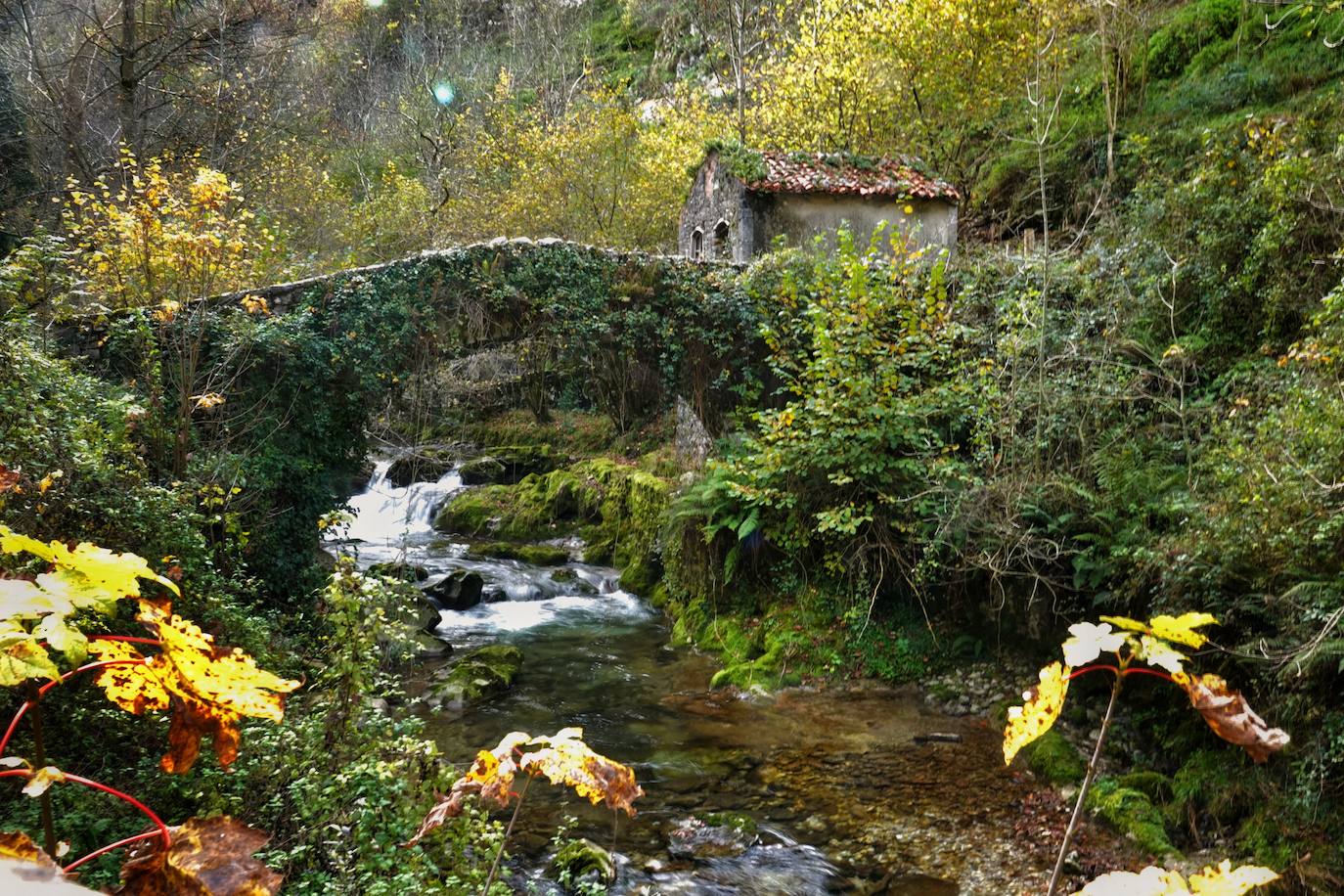 Fotos: Los colores del otoño visten los Picos de Europa