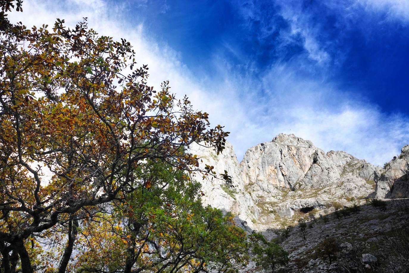 Fotos: Los colores del otoño visten los Picos de Europa