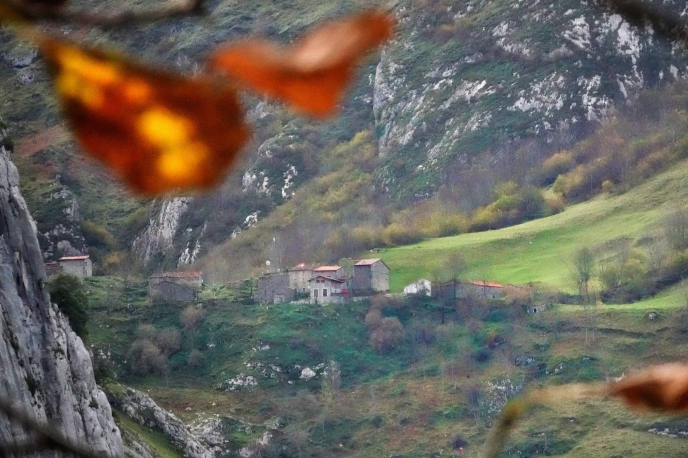 Fotos: Los colores del otoño visten los Picos de Europa