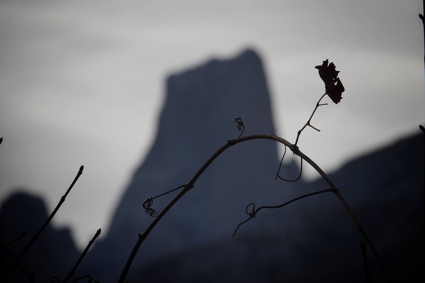 Fotos: Los colores del otoño visten los Picos de Europa