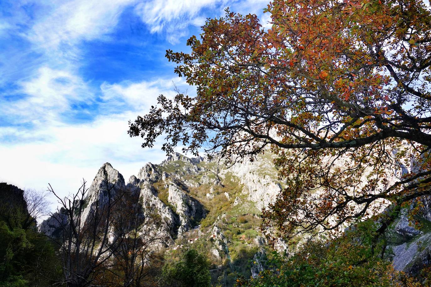 Fotos: Los colores del otoño visten los Picos de Europa