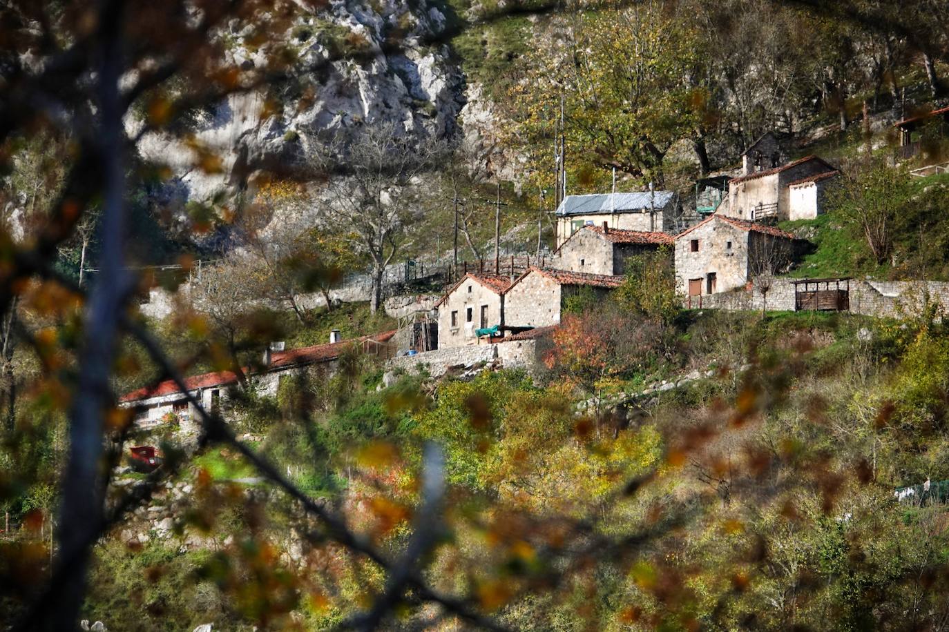 Fotos: Los colores del otoño visten los Picos de Europa