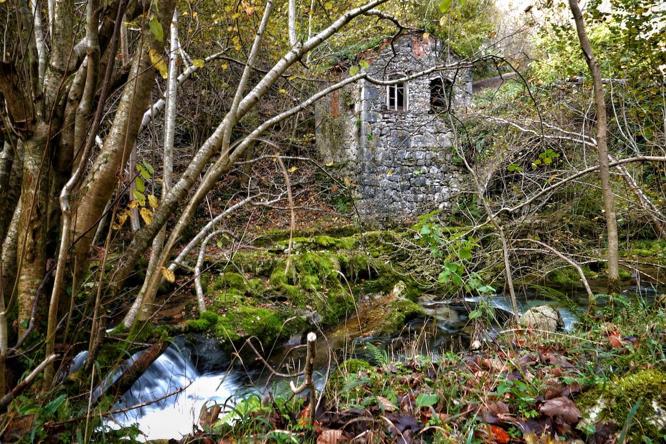 Fotos: Los colores del otoño visten los Picos de Europa