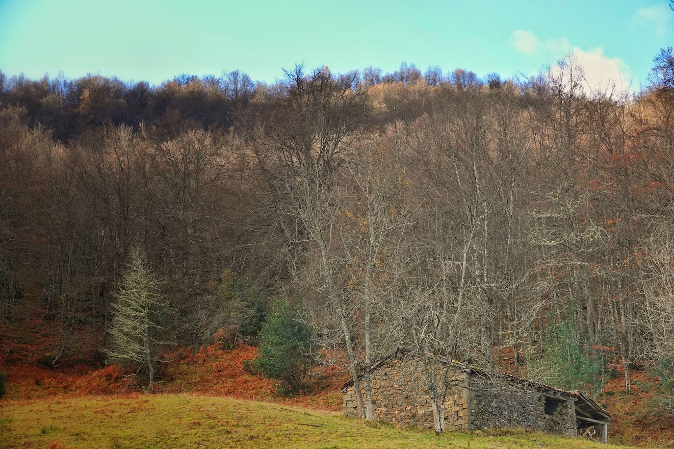 Fotos: Los colores del otoño visten los Picos de Europa