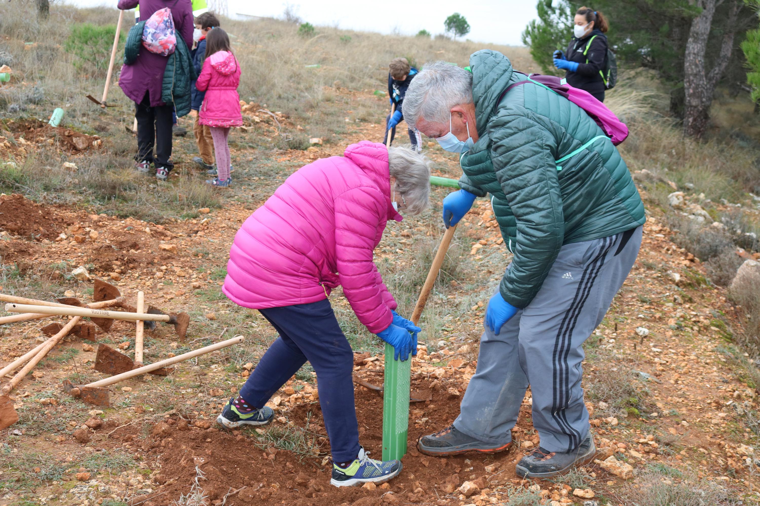 Más de 150 vecinos participaron en la plantación llevada a cabo en Villamuriel de Cerrato