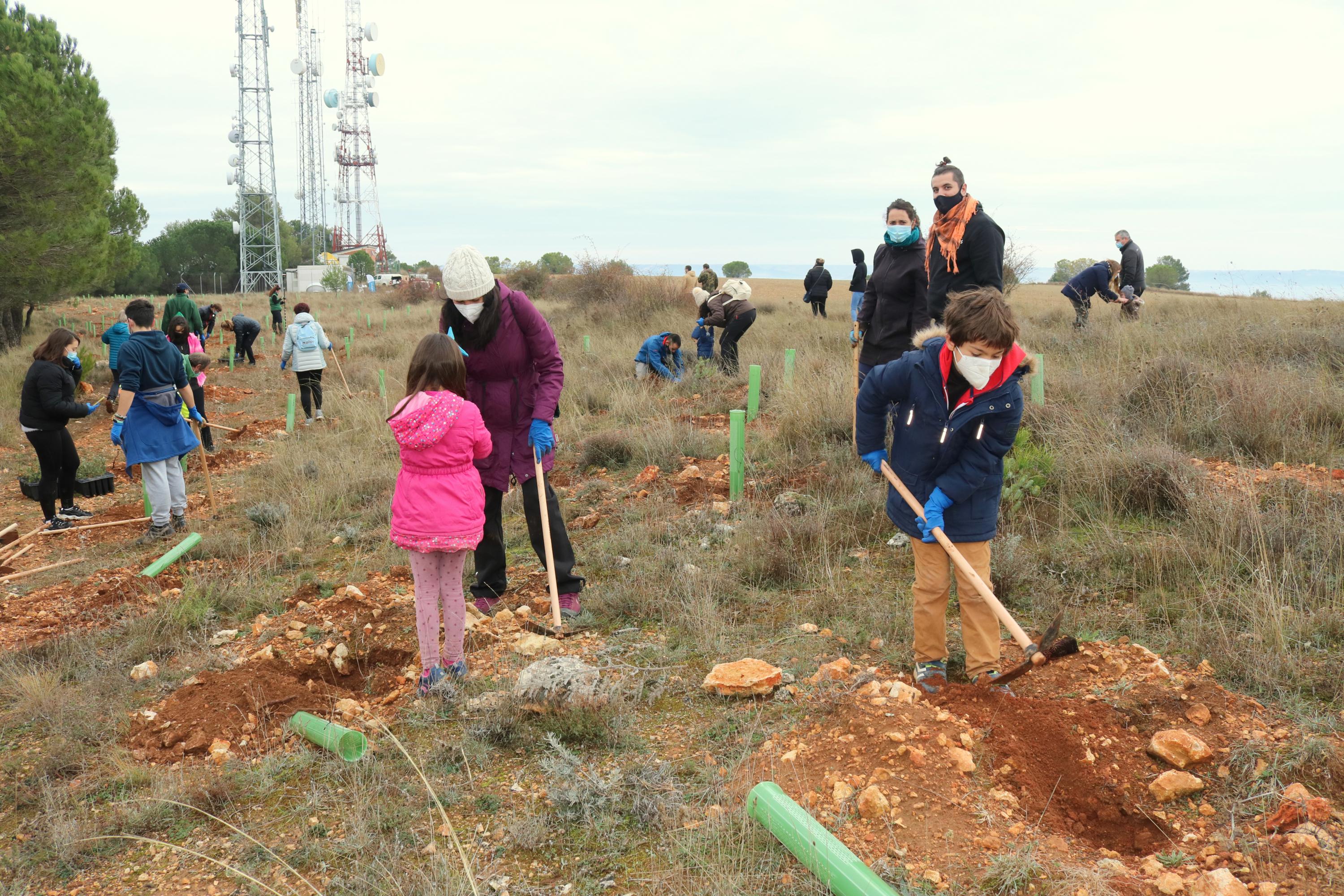 Más de 150 vecinos participaron en la plantación llevada a cabo en Villamuriel de Cerrato