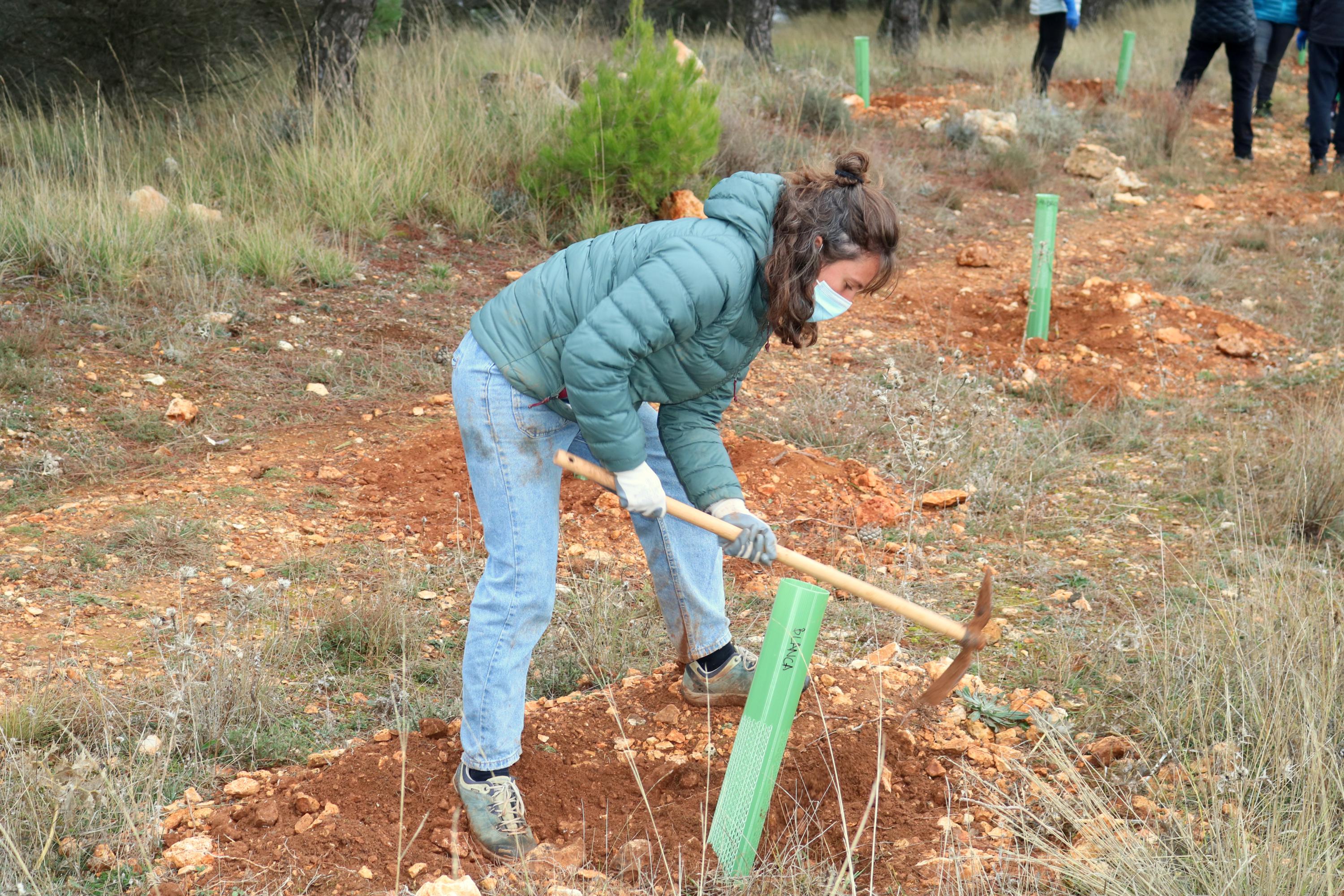 Más de 150 vecinos participaron en la plantación llevada a cabo en Villamuriel de Cerrato