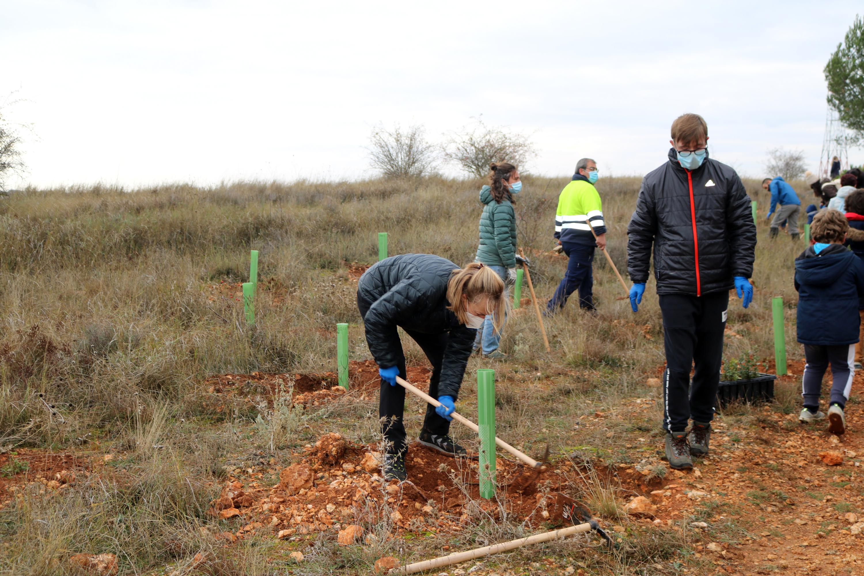 Más de 150 vecinos participaron en la plantación llevada a cabo en Villamuriel de Cerrato