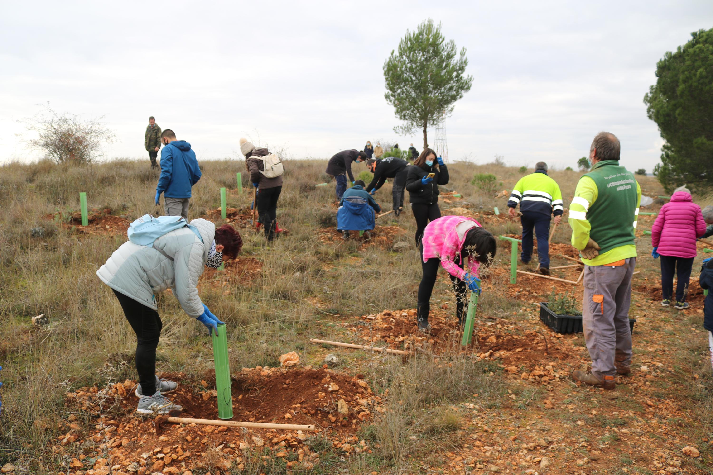 Más de 150 vecinos participaron en la plantación llevada a cabo en Villamuriel de Cerrato