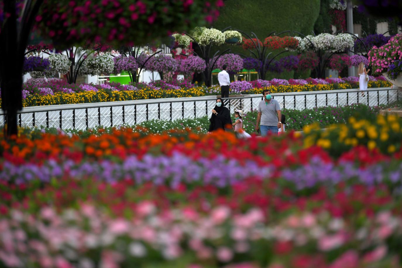 Fotos: El jardín de flores más grande del mundo
