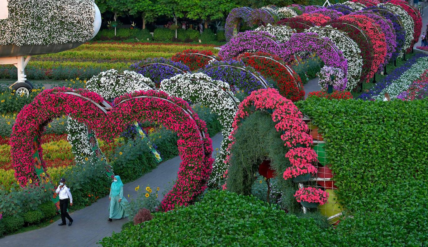 Fotos: El jardín de flores más grande del mundo