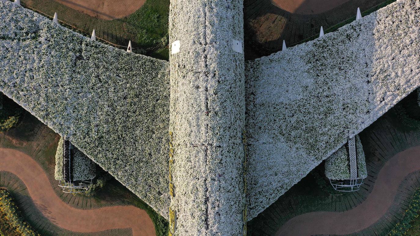 Fotos: El jardín de flores más grande del mundo