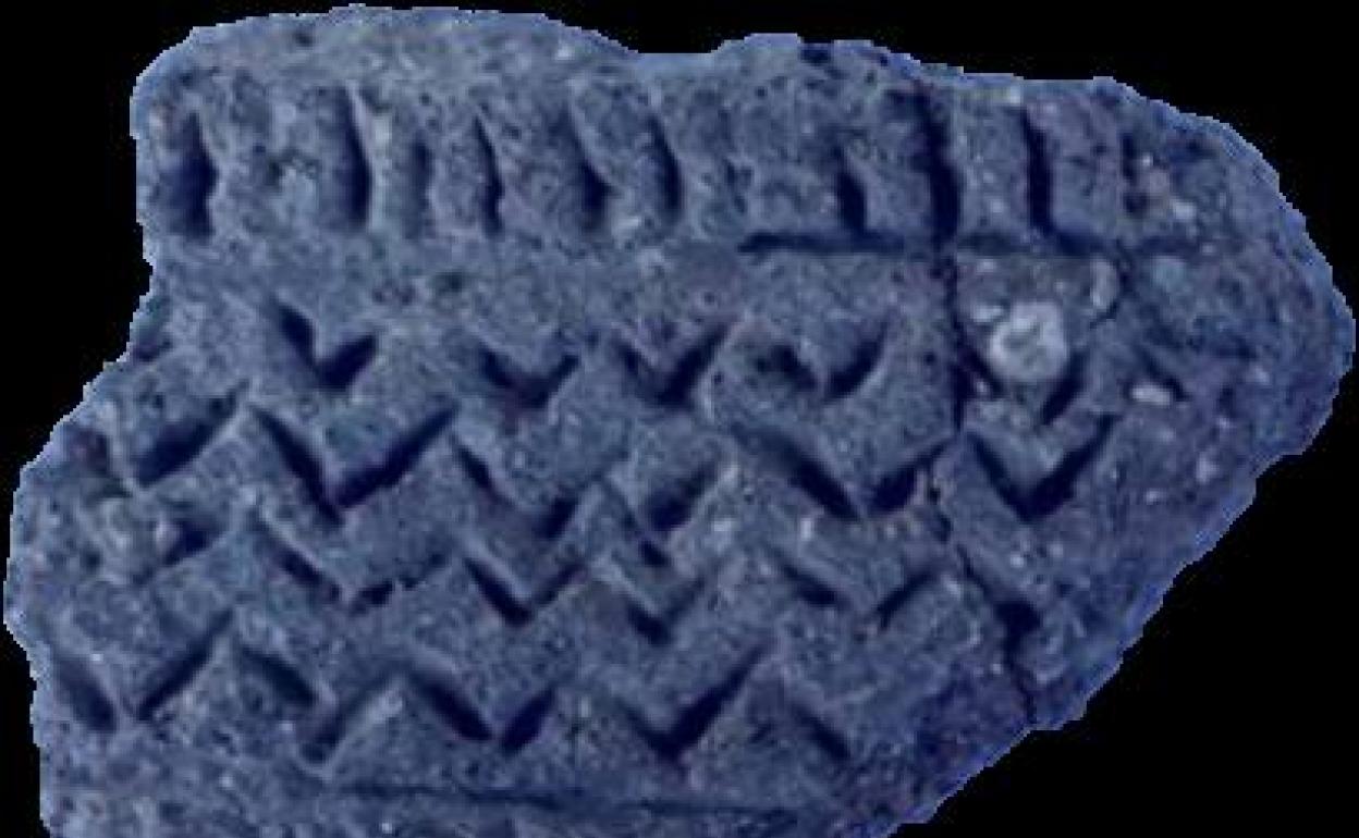 Una de las piezas encontradas. 