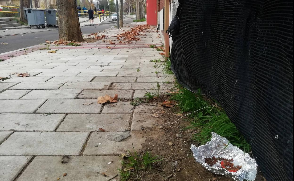 Comida para gatos en el solar del paseo del Cauce en el que se produjo la agresión.