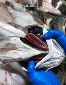 Imagen secundaria 2 - Recetario Degusta: ¿Qué pescado cocino en Navidad?