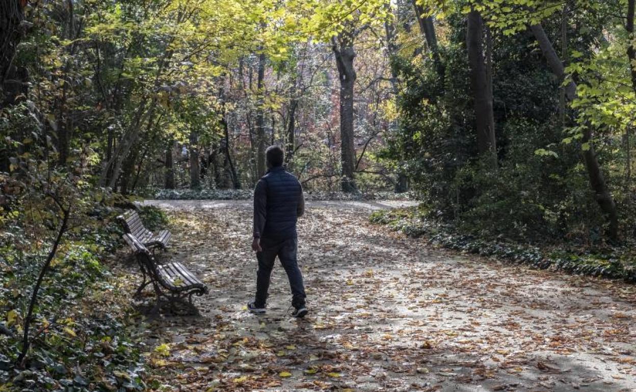 Un viandante pasea por el Campo Grande. 
