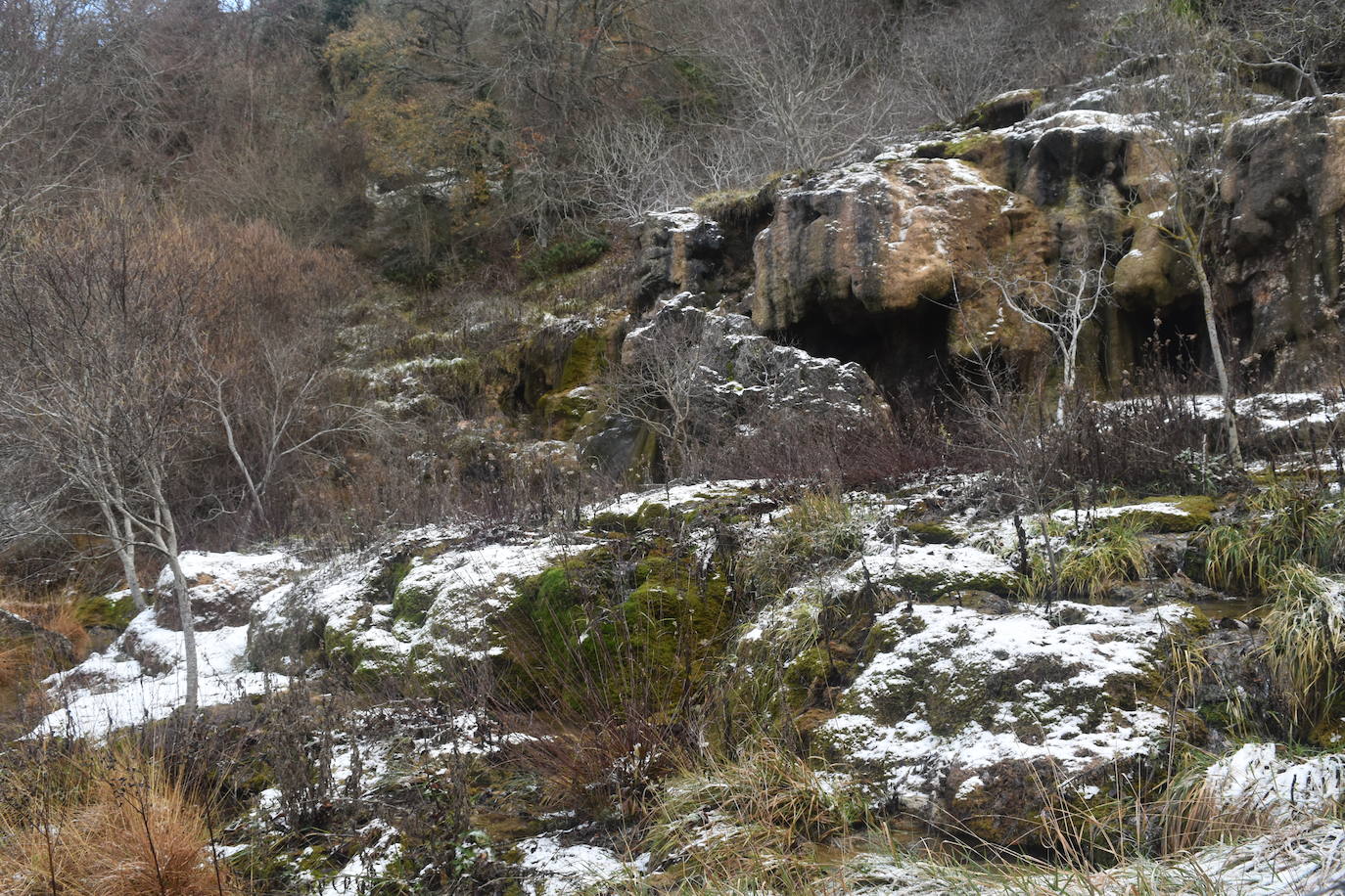 La borrasca Dora provoca las primeras nevadas en la zona norte de Palencia.