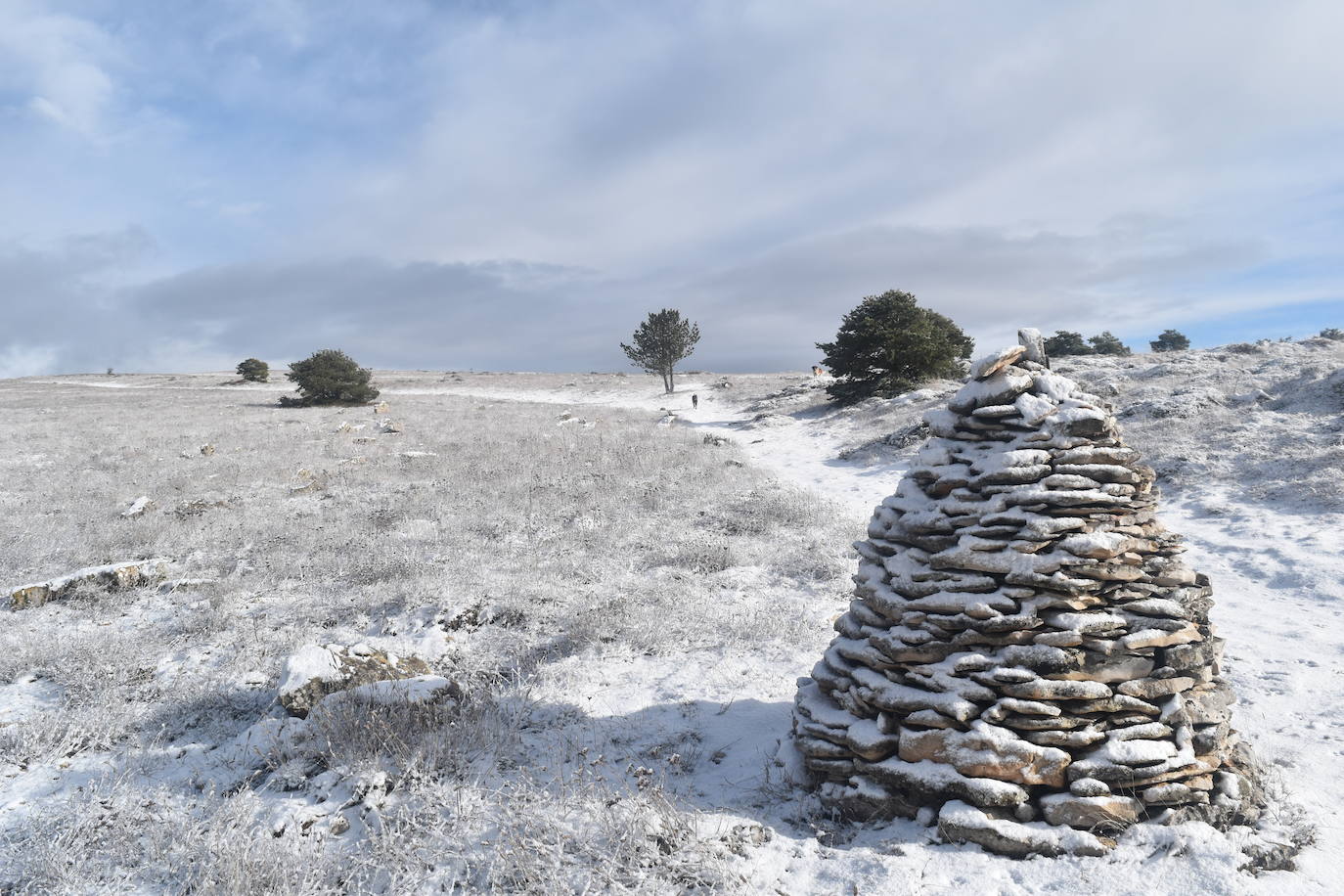 La borrasca Dora provoca las primeras nevadas en la zona norte de Palencia.