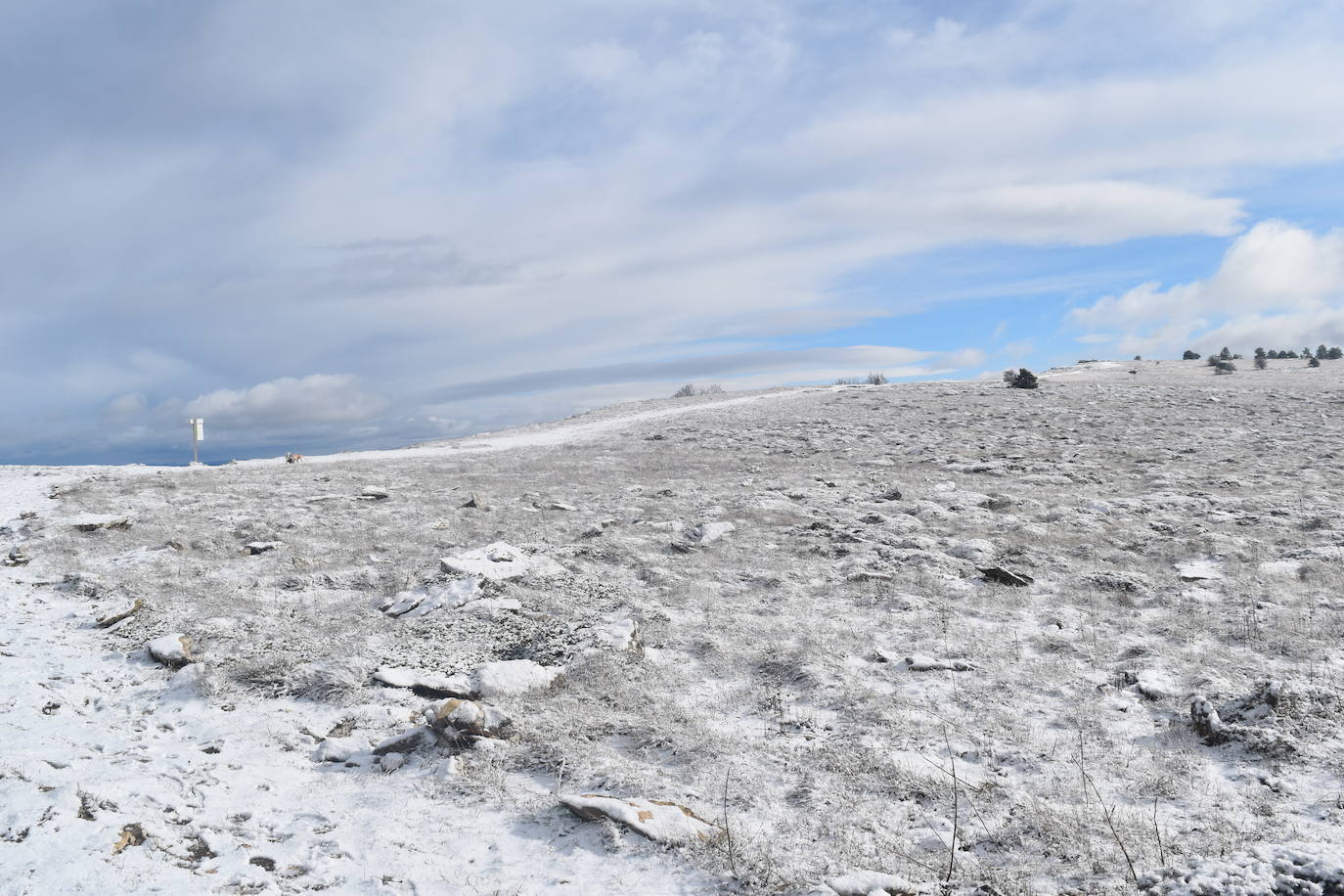 La borrasca Dora provoca las primeras nevadas en la zona norte de Palencia.