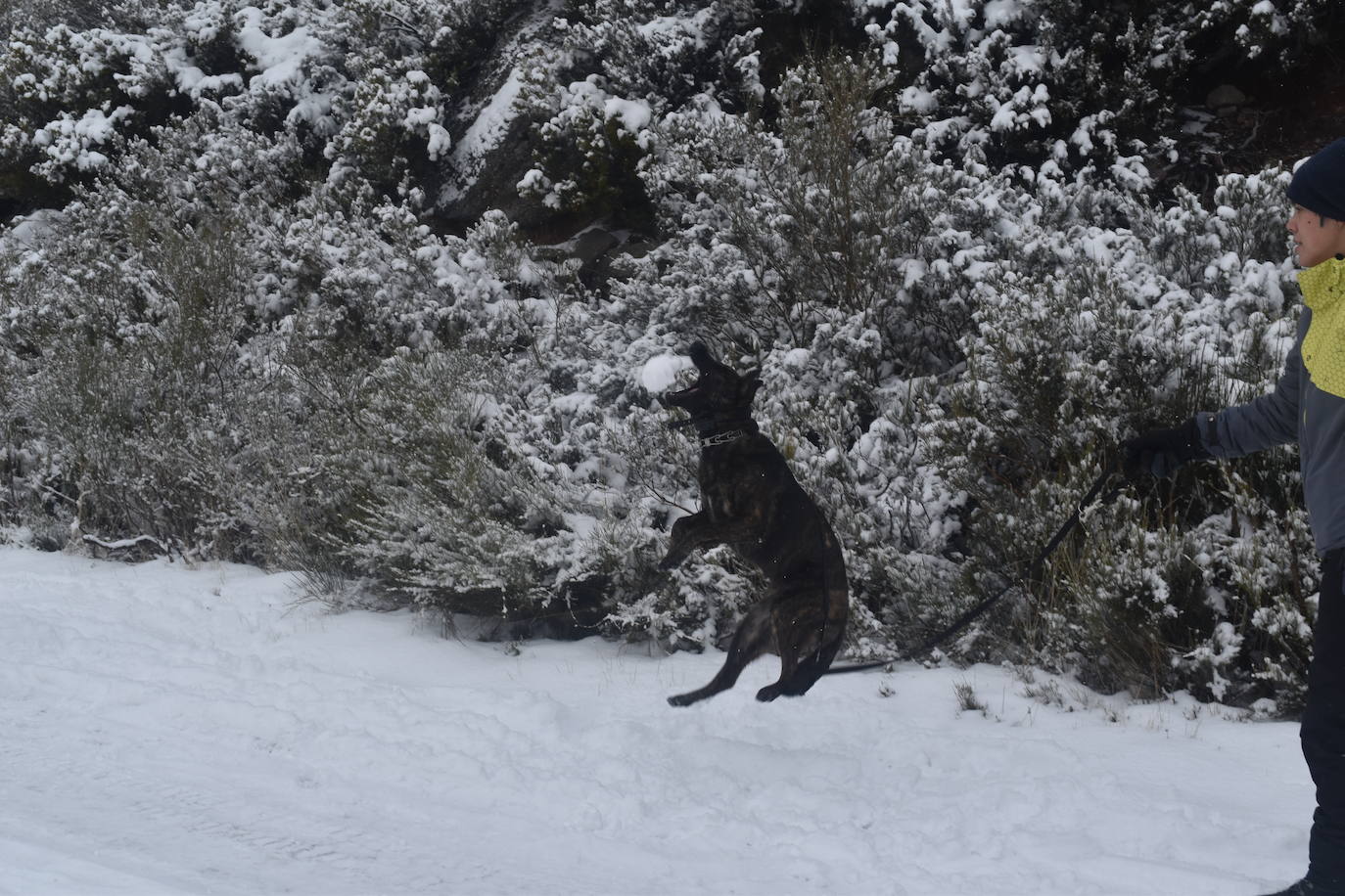 La nieve convierte Brañosera en zona de juegos en familia