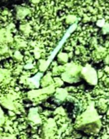 Imagen secundaria 2 - Detalle del cráneo y clavo hallado junto a él. 