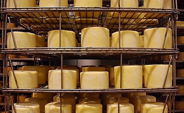 Quesos en curación.
