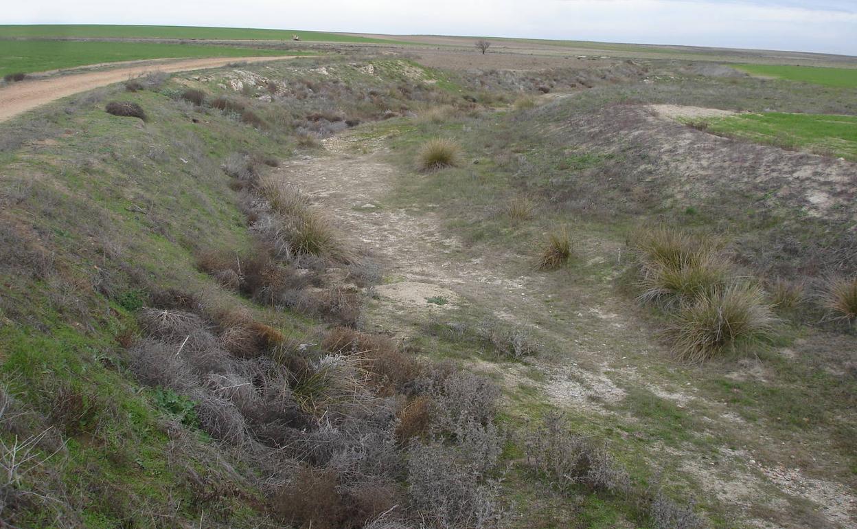 Estado en el que se encuentra el cauce del río Zapardiel. 