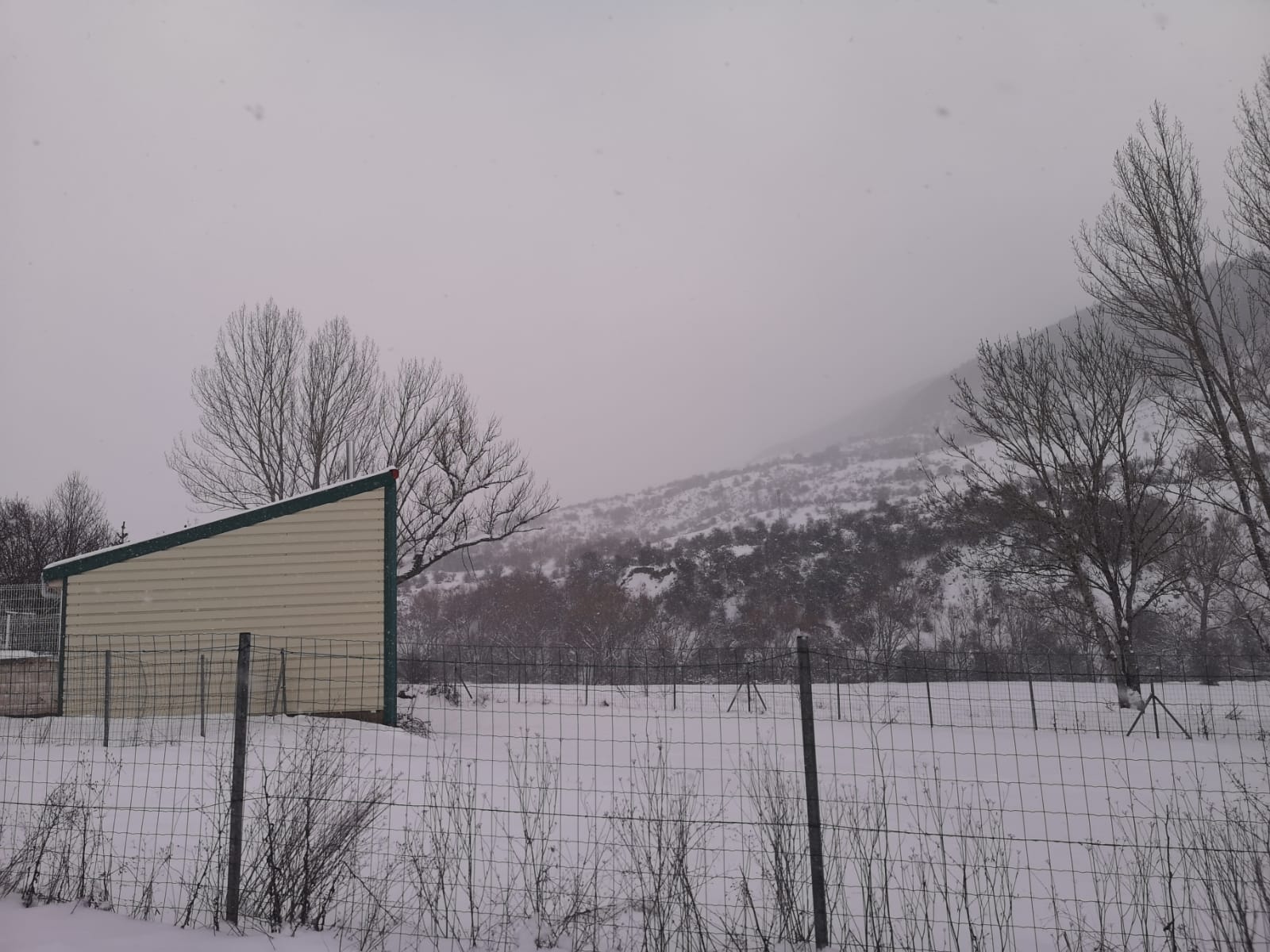 Fotos: El temporal Bella deja bonitas estampas en la provincia de León