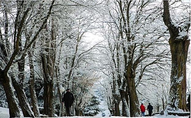 Imagen principal - Nieve en Soria capital. Abajo a la izquierda la localidad de Candelario, en la Sierra de Béjar (Salamanca) y a la derecha, León, donde cayeron algunos copos. 