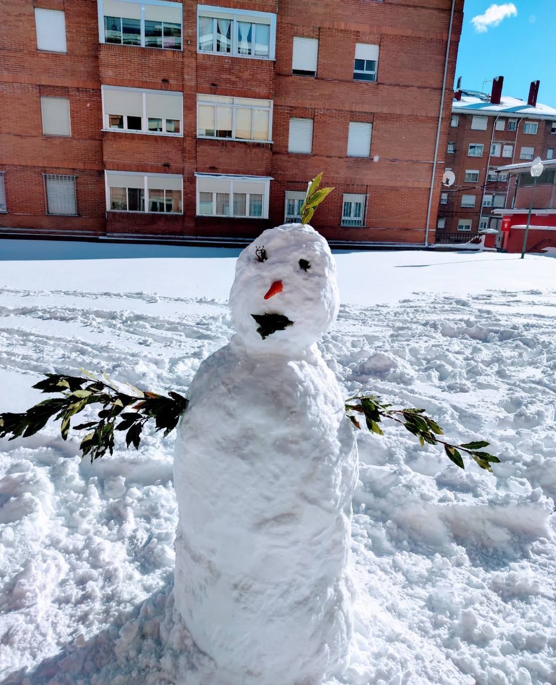 Las intensas nevadas dañan dos carpas del muincipio guardense.