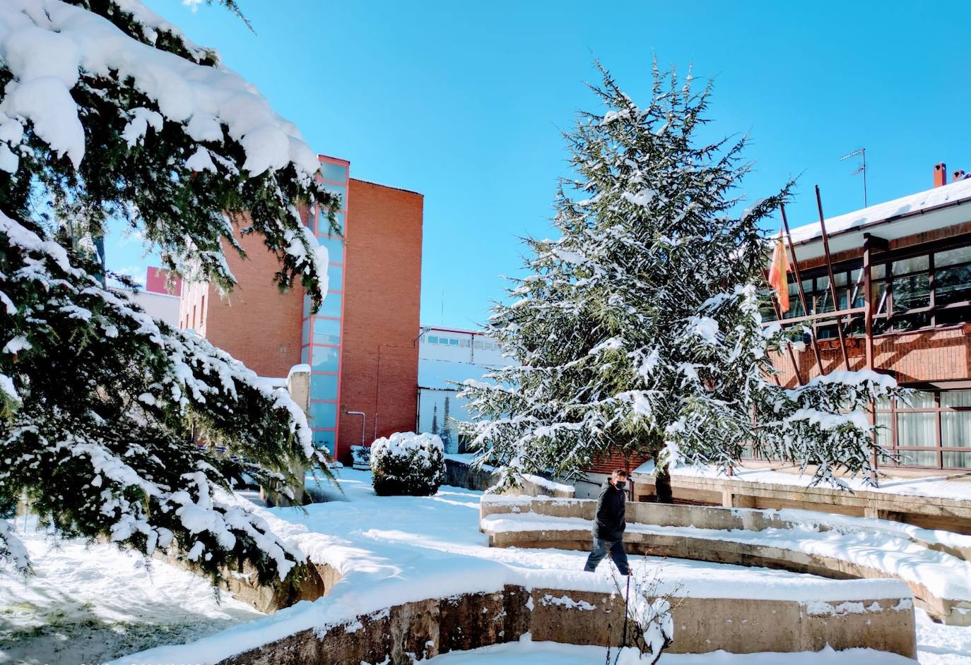 Las intensas nevadas dañan dos carpas del muincipio guardense.