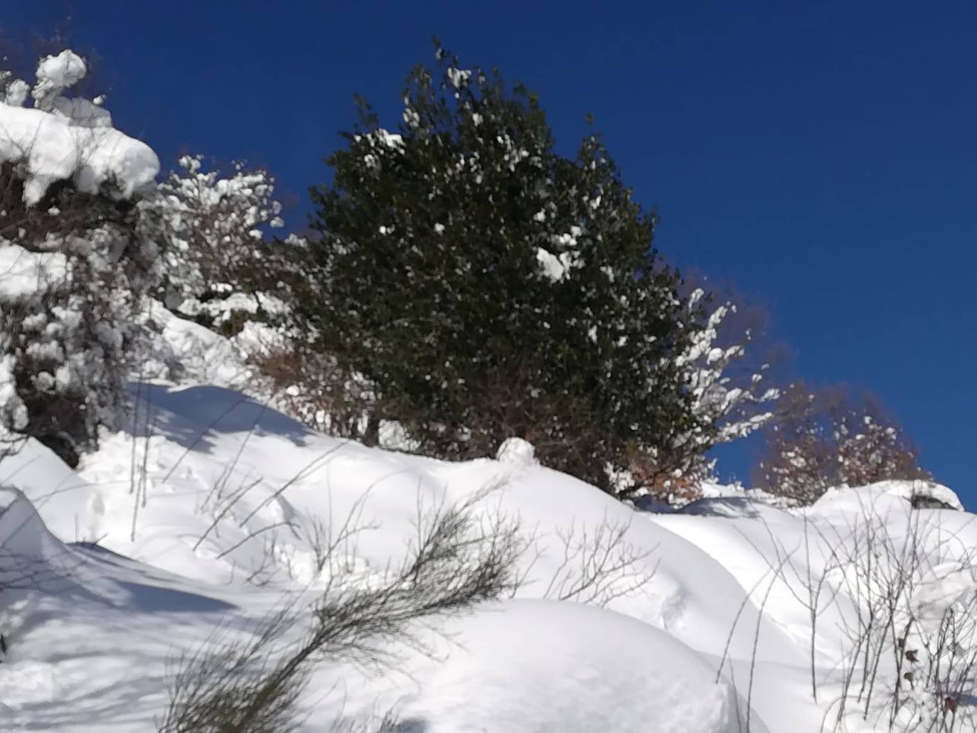 Santa María de Redondo continúa con nieve y gélidas temperaturas. 