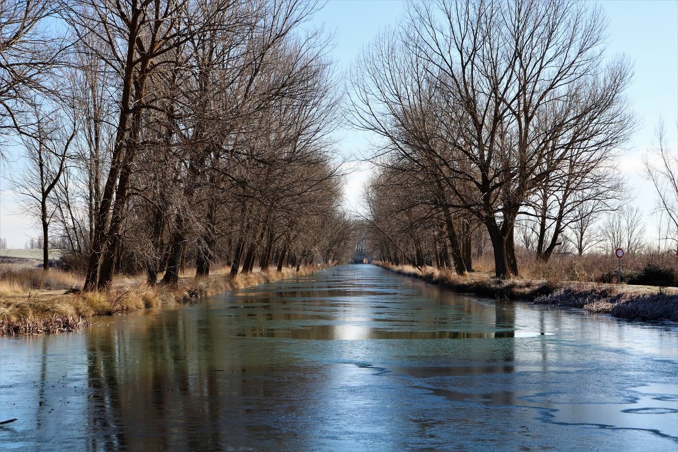Fotos: El Canal de Castilla amanece helado en Medina de Rioseco