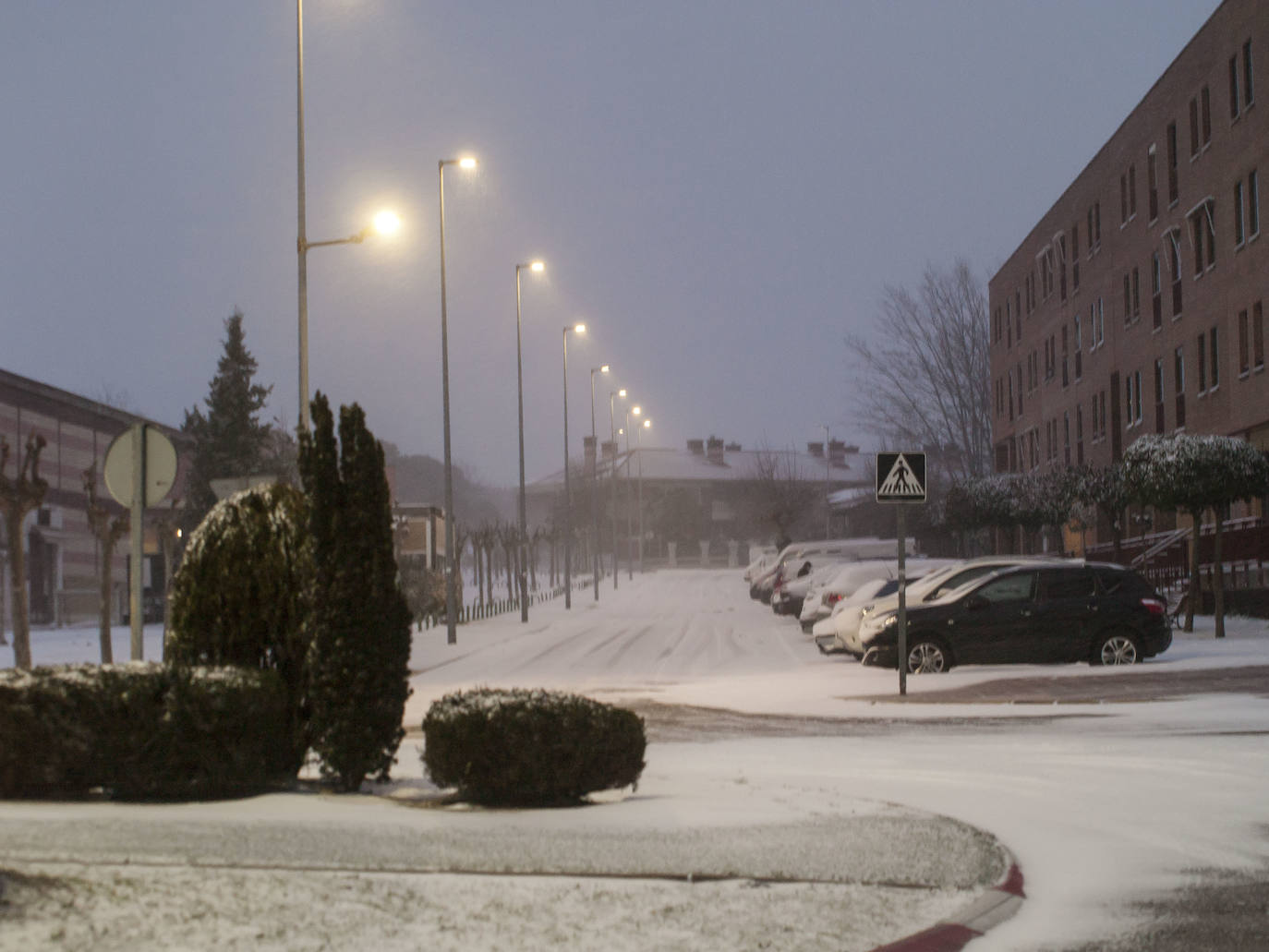 Fotos: Nieve en Laguna de Duero